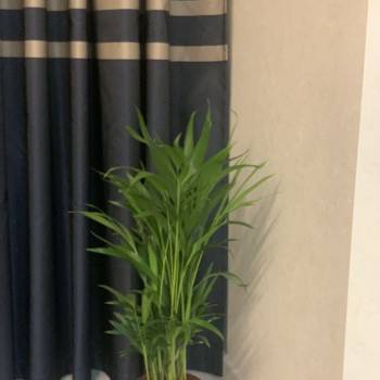 Продается 1-комнатная квартира, 41 м²