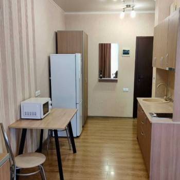 Сдается 1-комнатная квартира, 24,5 м²
