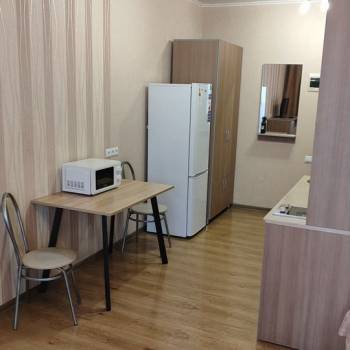 Сдается 1-комнатная квартира, 24,5 м²