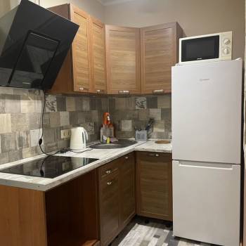 Сдается 1-комнатная квартира, 24,4 м²