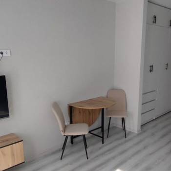 Сдается 1-комнатная квартира, 29,5 м²