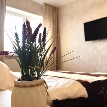 Сдается 2-х комнатная квартира, 50 м²
