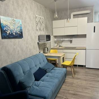 Сдается 1-комнатная квартира, 21,9 м²