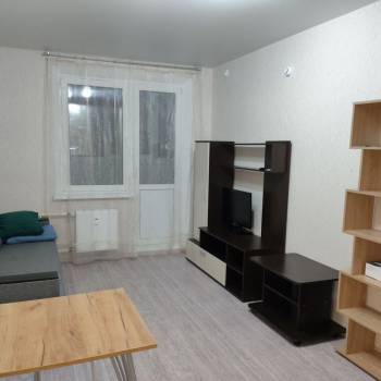 Сдается 1-комнатная квартира, 23,9 м²