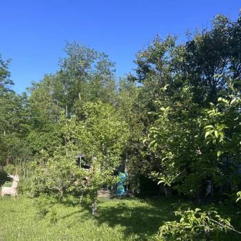 Сдается Дом, 178 м²