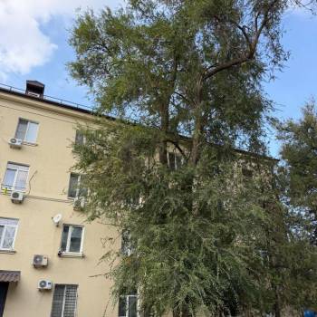 Продается 1-комнатная квартира, 19,3 м²