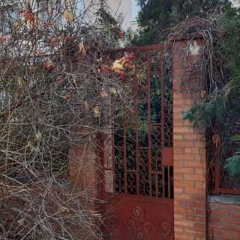 Продается Дом, 87 м²