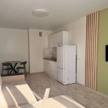 Сдается 1-комнатная квартира, 26 м²