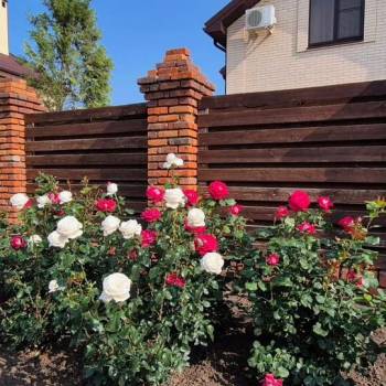 Сдается Дом, 125 м²