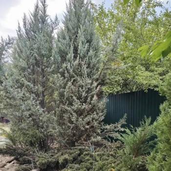 Продается Участок, 600 м²