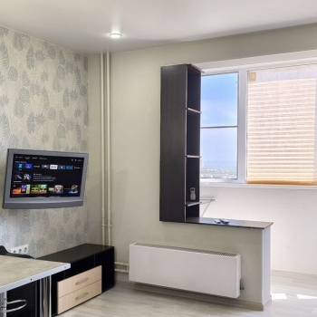 Сдается 1-комнатная квартира, 24,5 м²