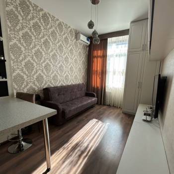 Сдается 1-комнатная квартира, 26 м²