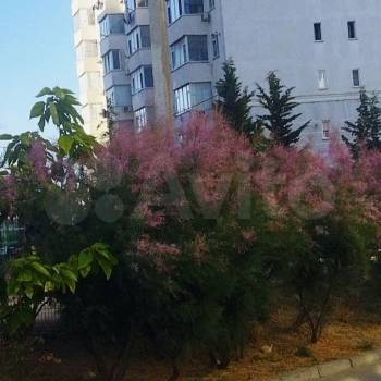 Продается 1-комнатная квартира, 56 м²