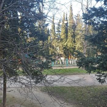 Сдается 1-комнатная квартира, 47 м²