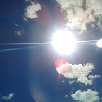 Сдается Комната, 66 м²