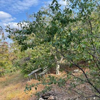 Продается Участок, 690 м²