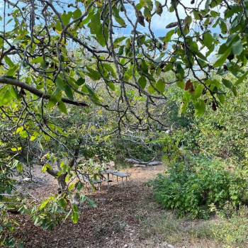 Продается Участок, 690 м²