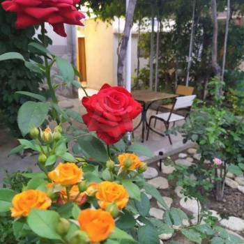 Сдается Комната, 15 м²