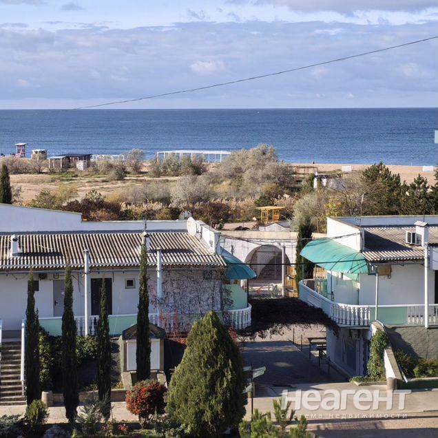 Фотография №2