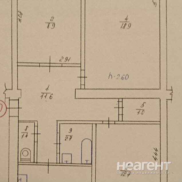 Фотография №2