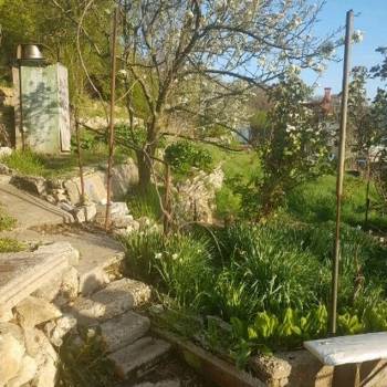 Сдается Дом, 25 м²