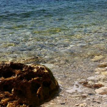 Сдается Дом, 100 м²