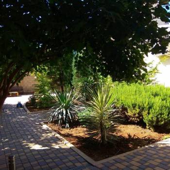 Сдается Комната, 25 м²