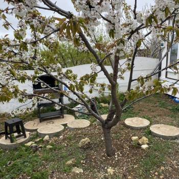 Сдается Дом, 36 м²