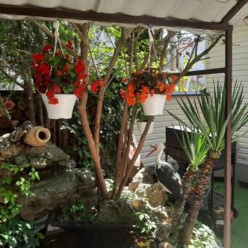 Сдается Дом, 50 м²