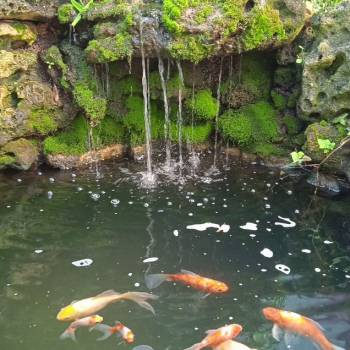 Продается Участок, 1060 м²