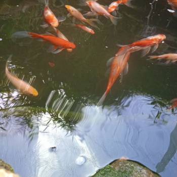 Продается Участок, 1060 м²