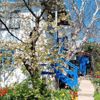 Продается Участок, 800 м²