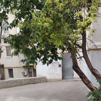 Продается 1-комнатная квартира, 23,3 м²