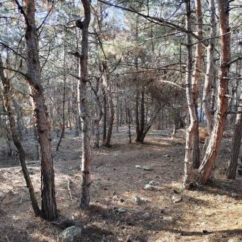 Продается Участок, 900 м²
