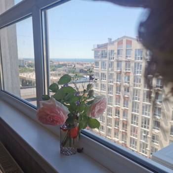 Сдается 2-х комнатная квартира, 71 м²