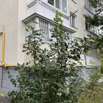 Сдается Многокомнатная квартира, 70 м²