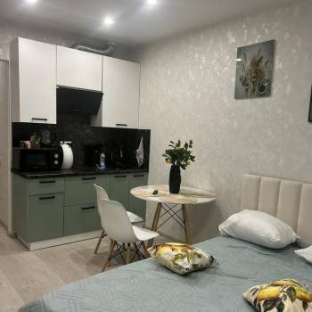 Сдается 1-комнатная квартира, 22,3 м²