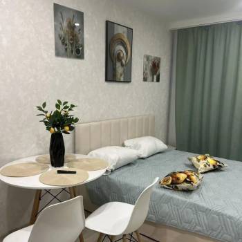 Сдается 1-комнатная квартира, 22,3 м²