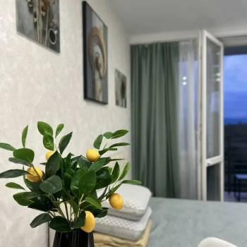 Сдается 1-комнатная квартира, 22,3 м²