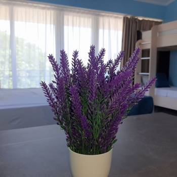 Сдается 1-комнатная квартира, 31 м²