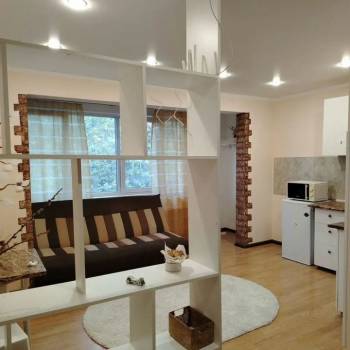 Сдается 1-комнатная квартира, 31 м²