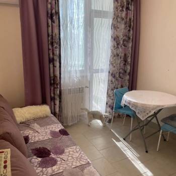 Сдается 1-комнатная квартира, 19,9 м²