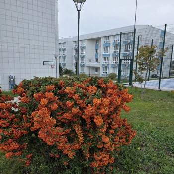Сдается 1-комнатная квартира, 26,6 м²
