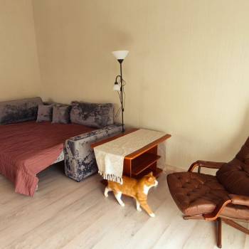 Сдается 2-х комнатная квартира, 51 м²