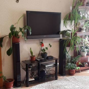 Сдается 2-х комнатная квартира, 45 м²