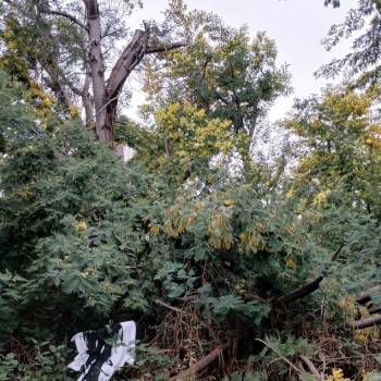 Продается Участок, 1000 м²