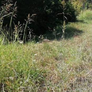 Продается Участок, 600 м²