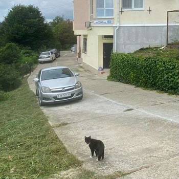 Сдается 1-комнатная квартира, 26,1 м²