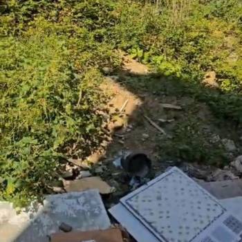 Продается Участок, 29300 м²