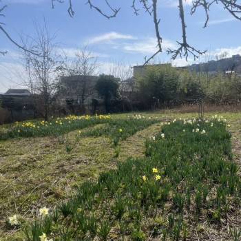 Продается Участок, 900 м²